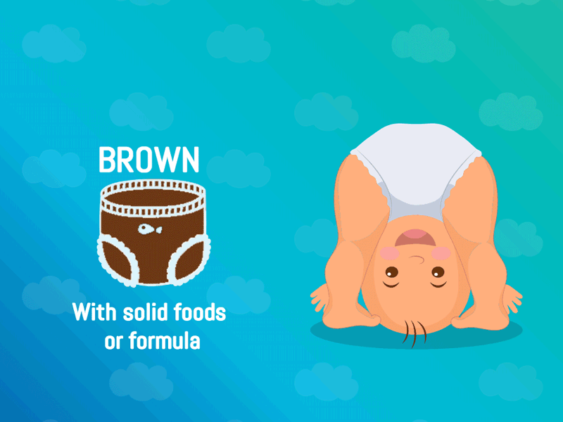 The Diaper Diaries . Decode your baby’s poop!